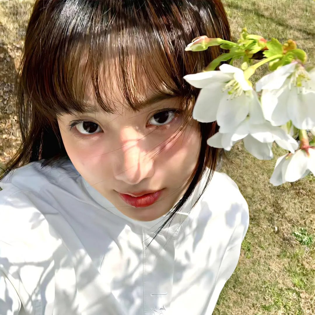 唐伯虎点秋香2之四大才子